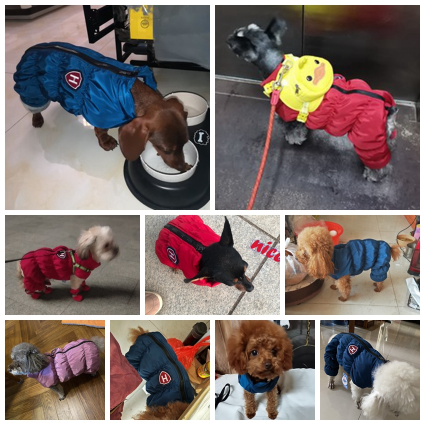 Rits Sneeuw Unisex Hond Waterd - Baby Clothing Winter recensie en prijs